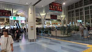 NbNĊg